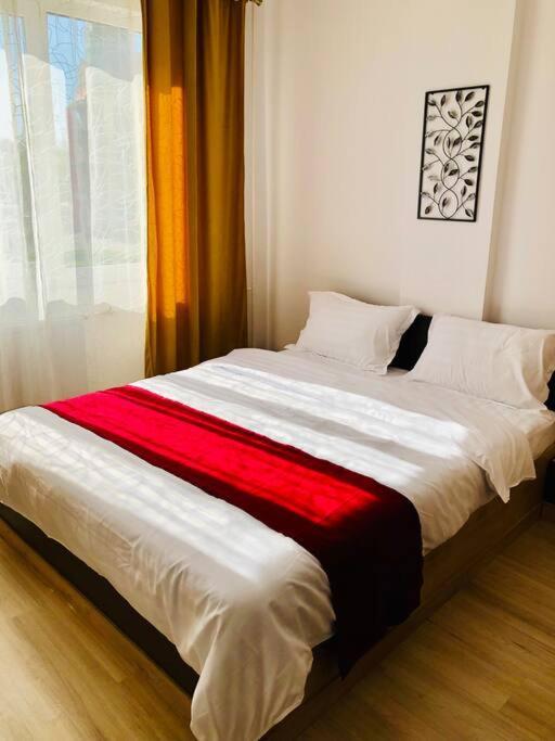Joy City Stay Victoriei 7G-9 Тимишоара Екстериор снимка